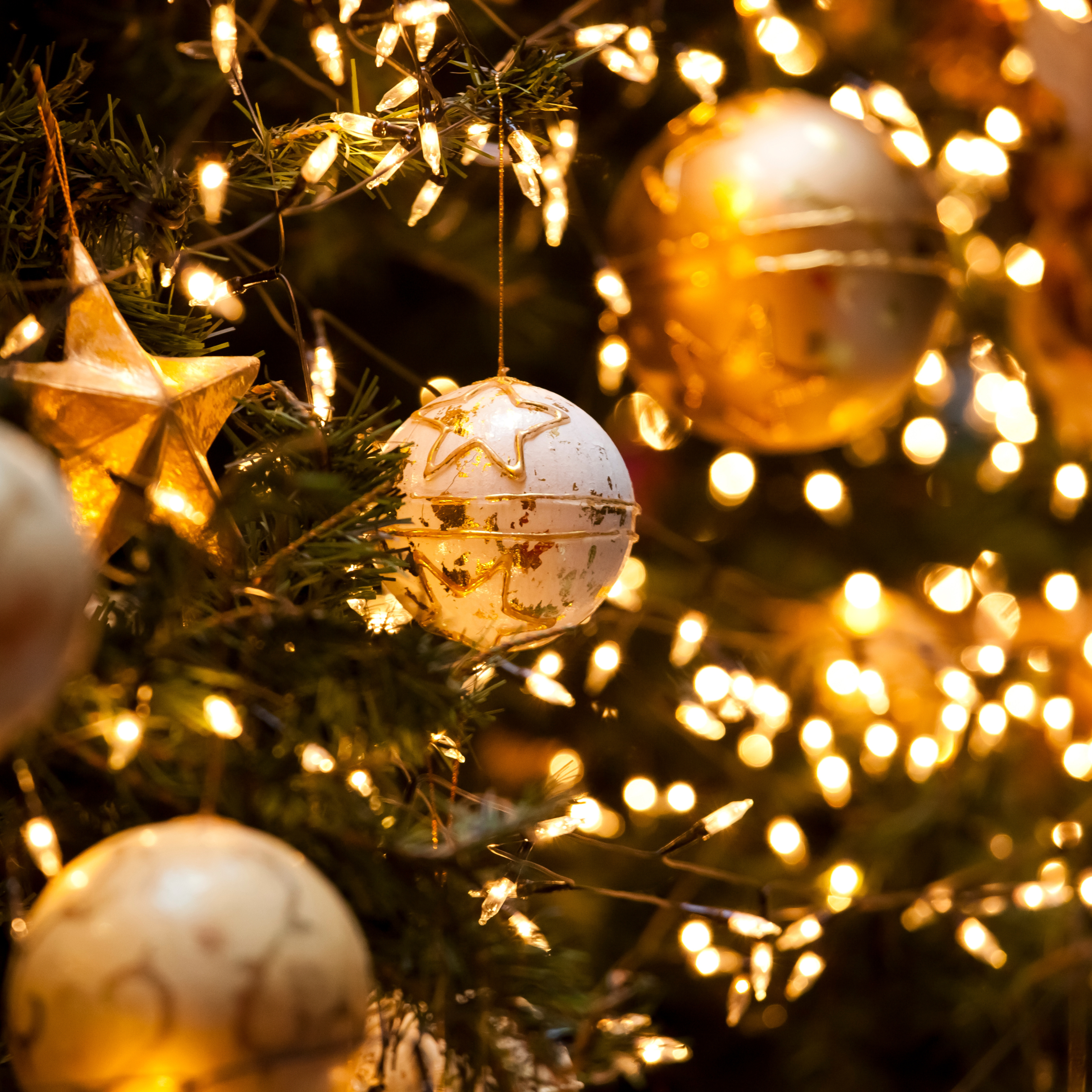 Christmas Guide Website Pic (3)