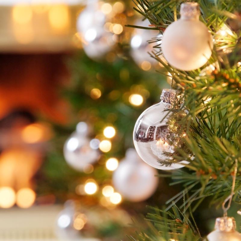 Silhouette of Christmas Tree with Lights