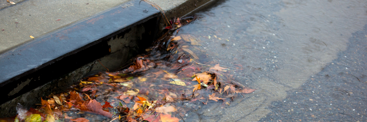 stormwater running colorful fall leaves into street storm drain