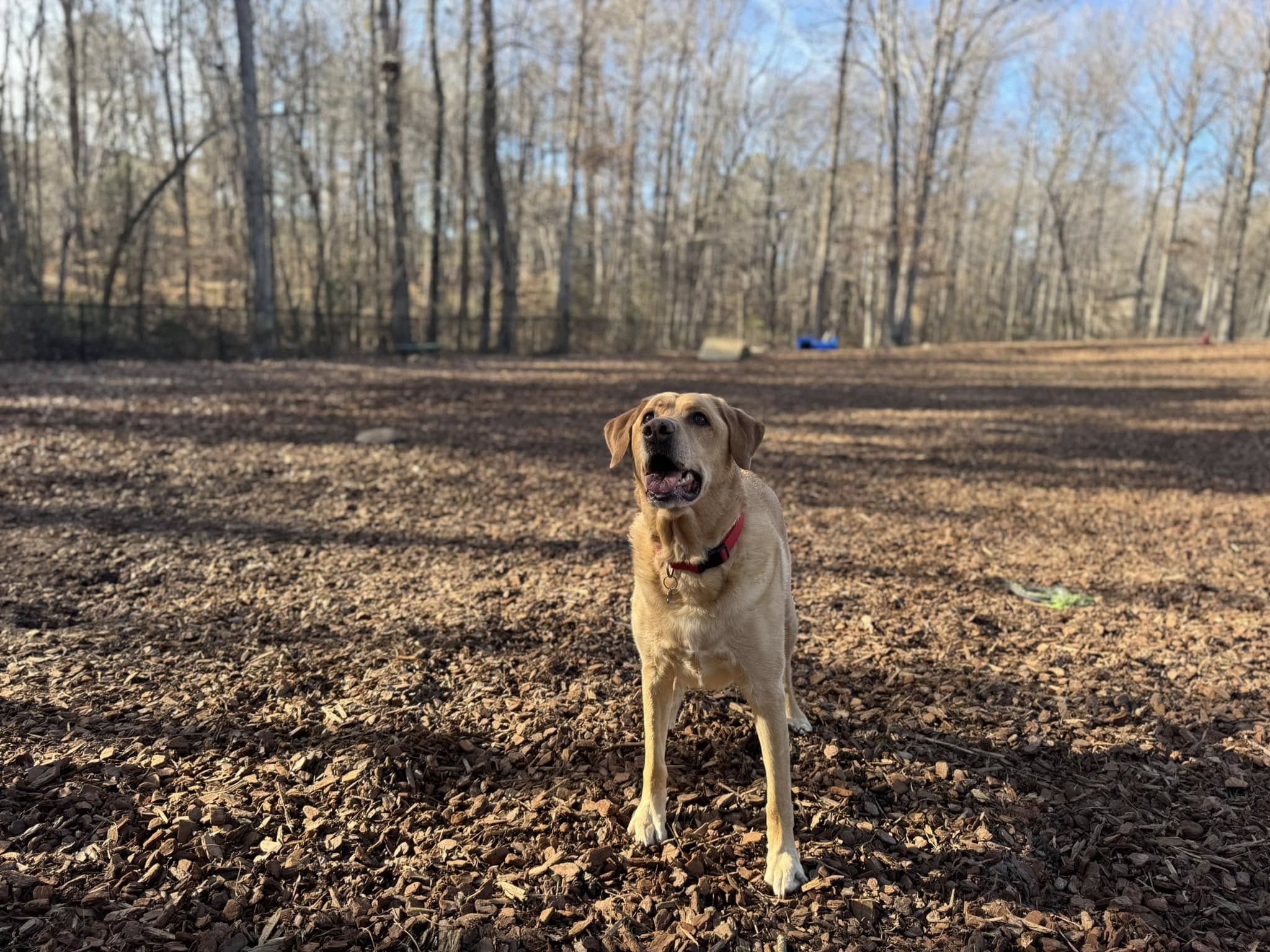 485363070_1000509198846828_8867930722633254622_n